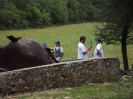 Yota subregional camp Montecassino 2018-134