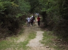 Yota subregional camp Montecassino 2018-140
