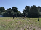 Yota subregional camp Montecassino 2018-446